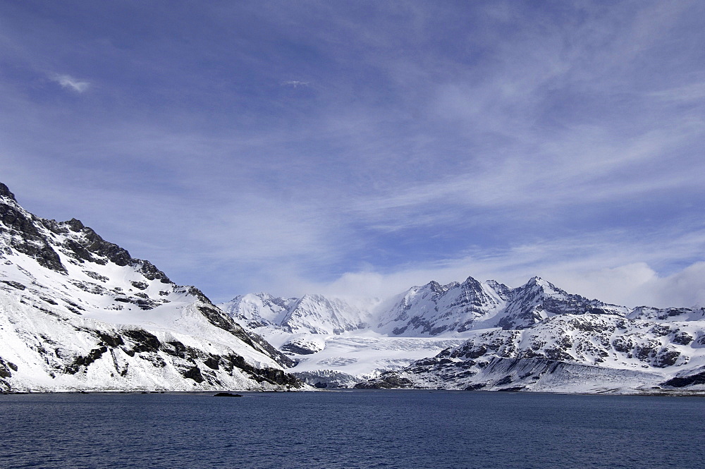 Royal bay, south georgia