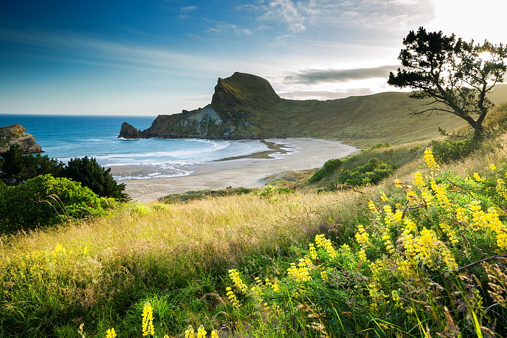 Deliverance Cove at sunset, North Wairarapa, Wairarapa, North Island, New Zealand, Pacific