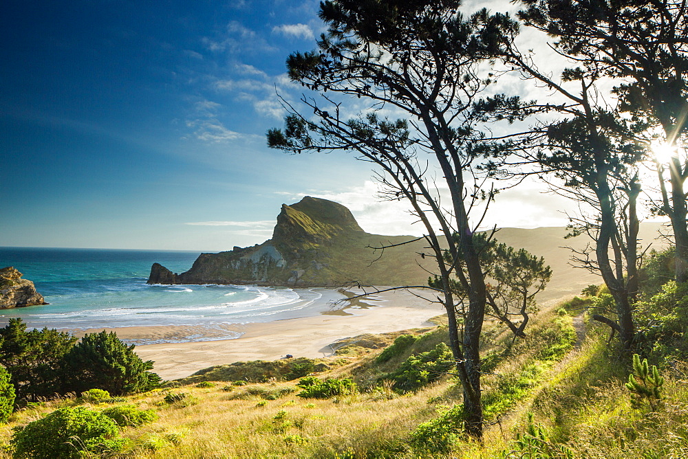 Deliverance Cove, Castlepoint, Wellington Region, North Island, New Zealand, Pacific