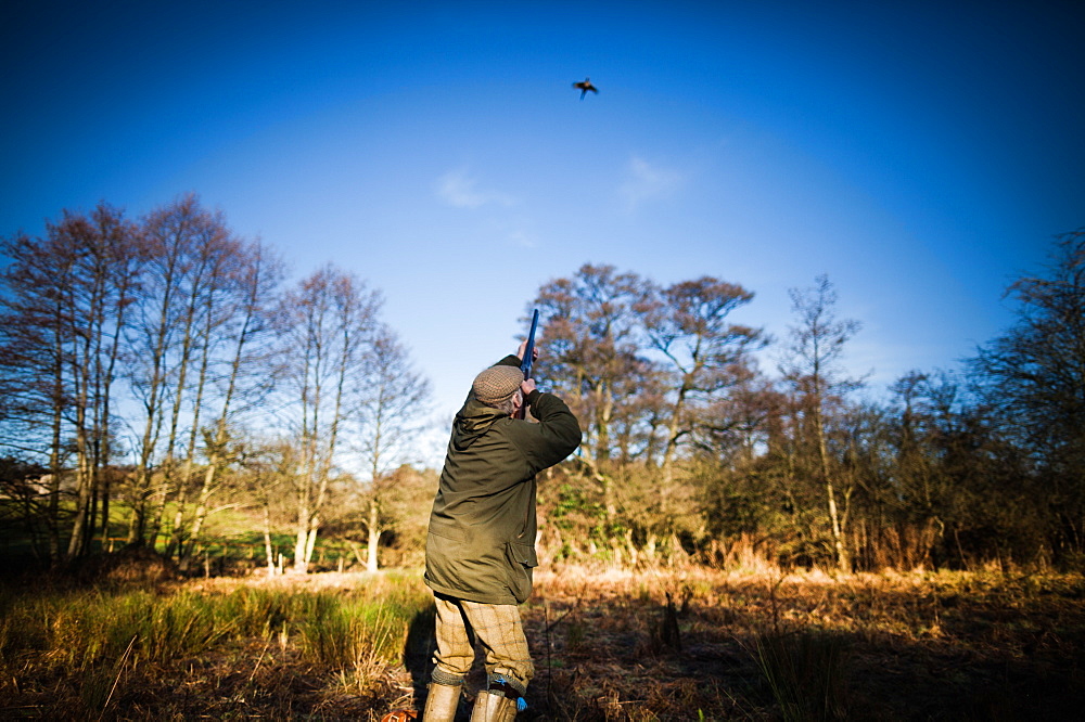 Gun shooting, Wales, United Kingdom, Europe