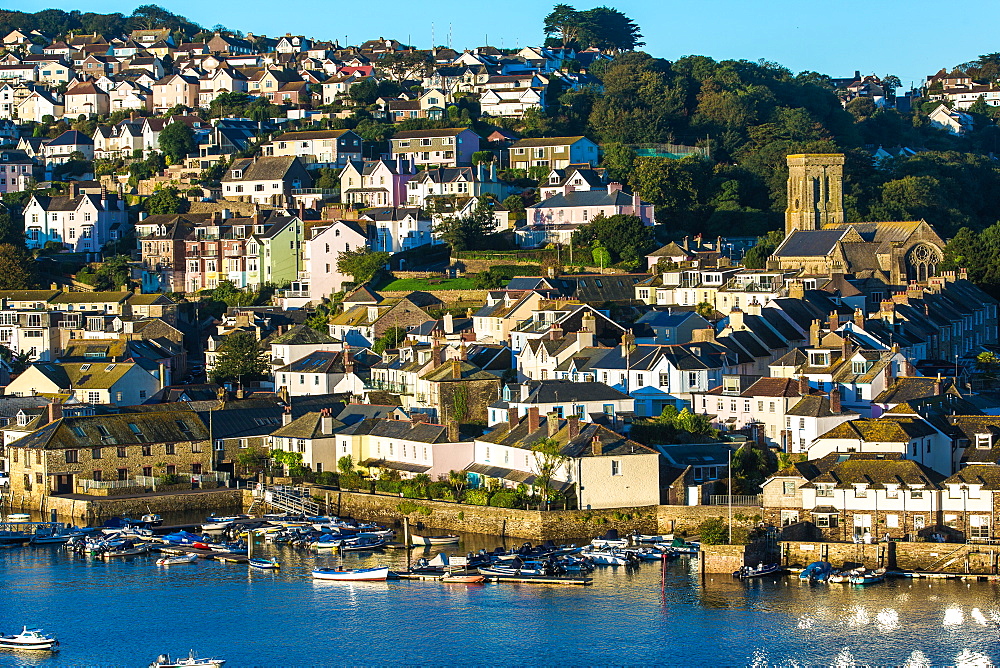 Salcombe, Devon, England, United Kingdom, Europe