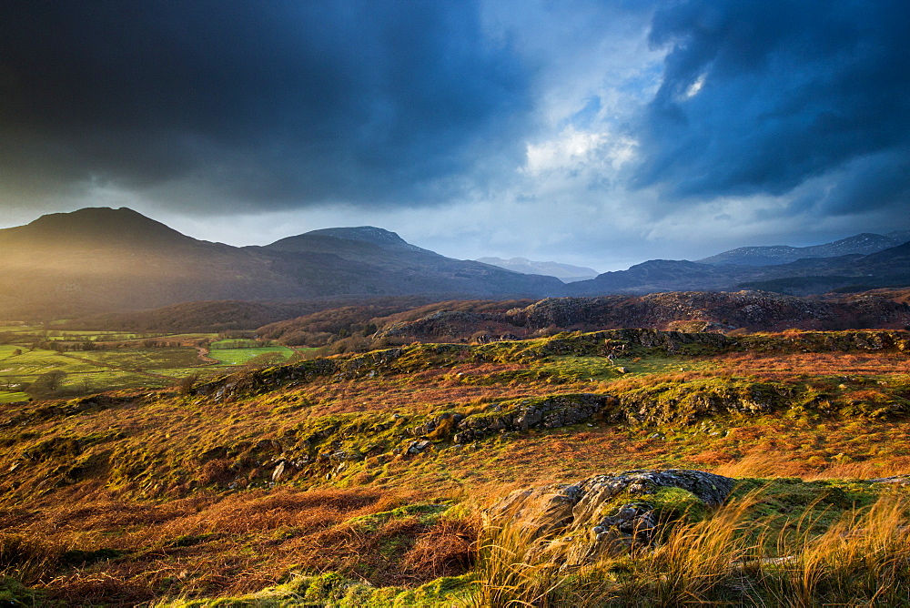 Croesor Valley, Gwynedd, Wales, United Kingdom, Europe