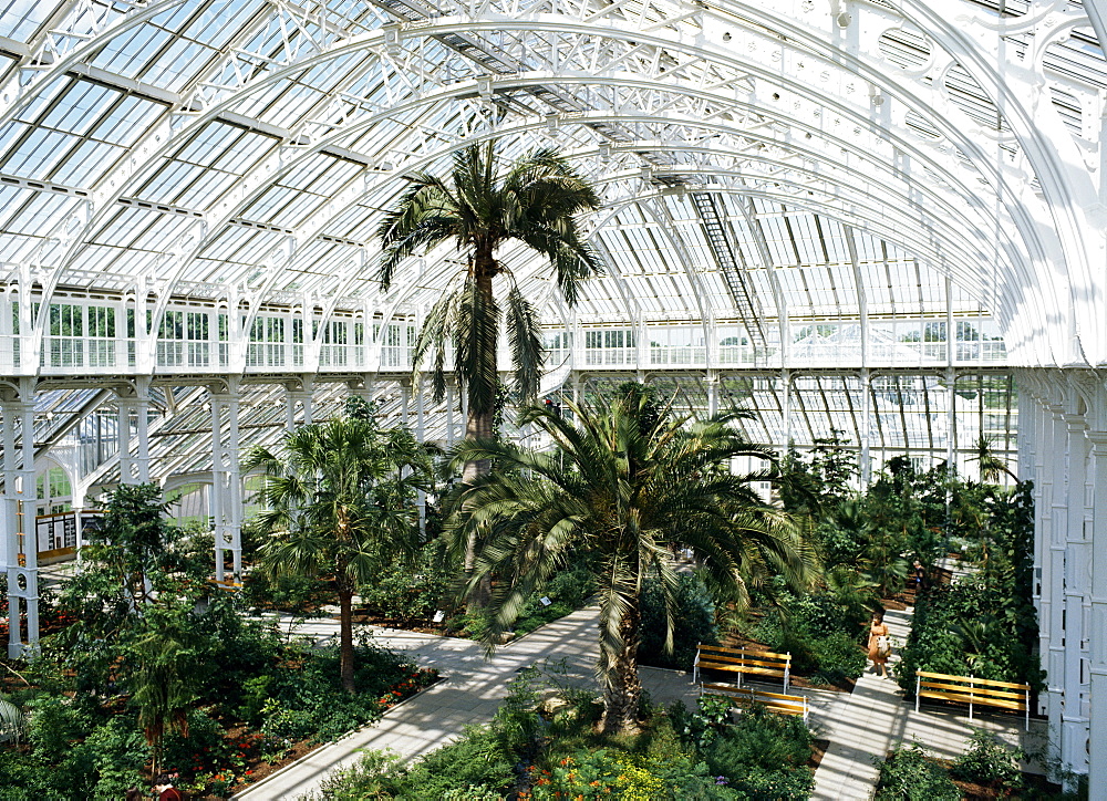 Interior of the Temperate House, restored in 1982, Kew Gardens, UNESCO World Heritage Site, Greater London, England, United Kingdom, Europe