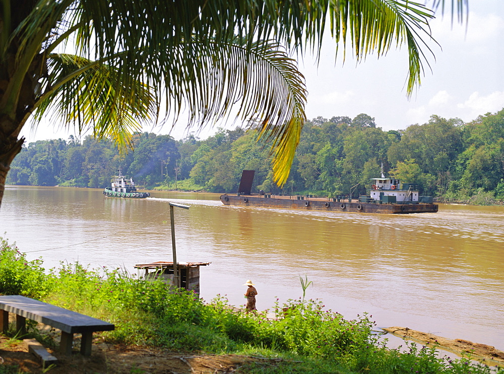 Logging barge on the Kinabatangan River, Eastern Sabah, island of Borneo, Malaysia