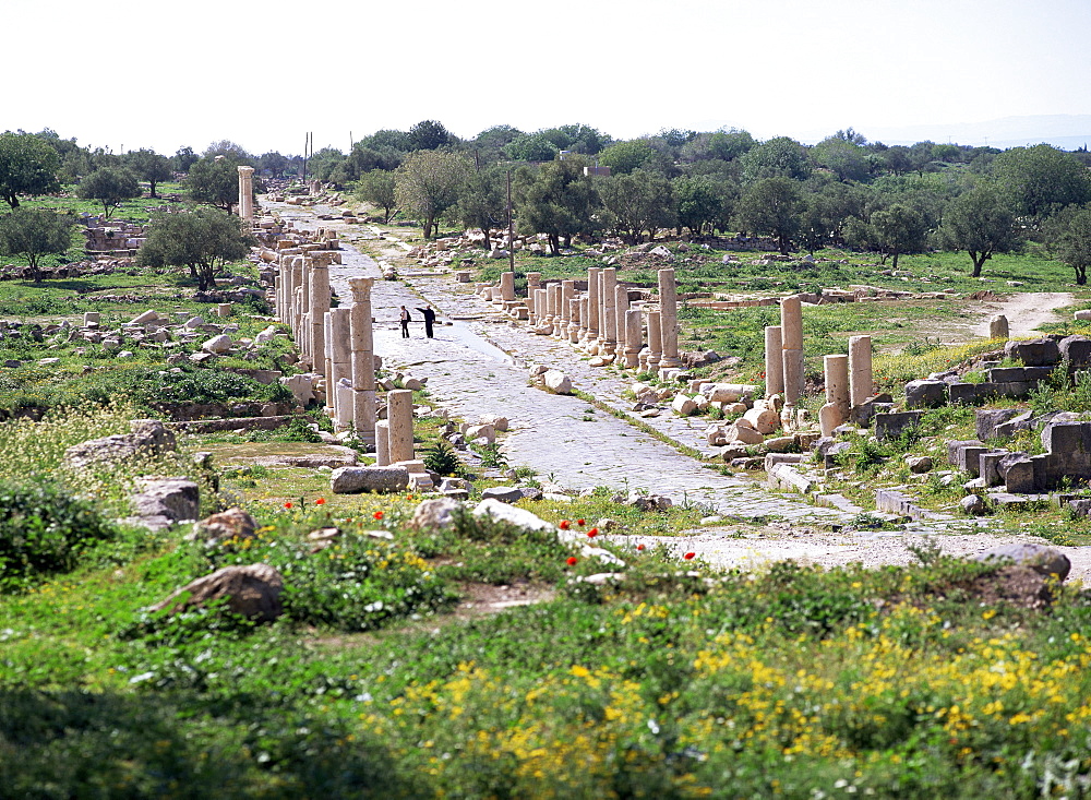 Looking west along Decumanus Maximus, main street of Umm Qais (ancient Gadara), a city of the Roman Decapolis, north of Irbid, Jordan, Middle East