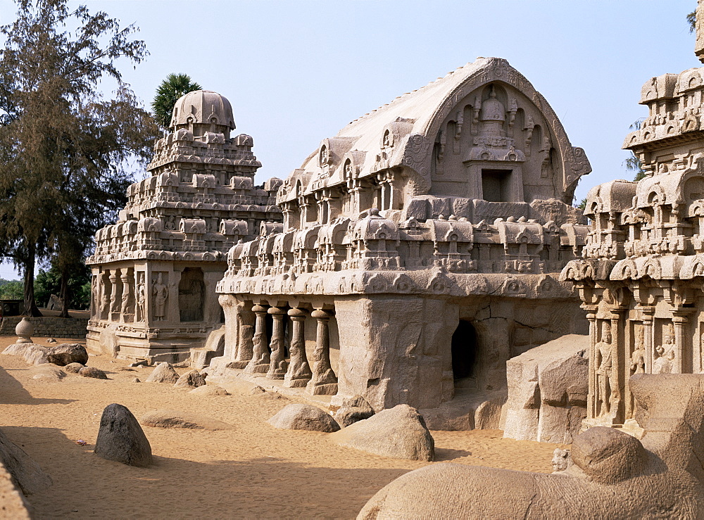 Group of rock cut temples called the Five Rathas (5 chariots), dating from circa 7th century AD, Mahabalipuram (Mamallapuram), UNESCO World Heritage Site, Tamil Nadu state, India, Asia