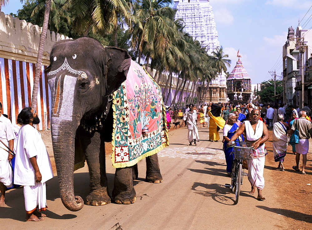 An elephant leads procession of huge chariot outside Sri Ranganathaswami Temple, Srirangam, Near Tiruchirappalli, Tamil Nadu state, India, Asia