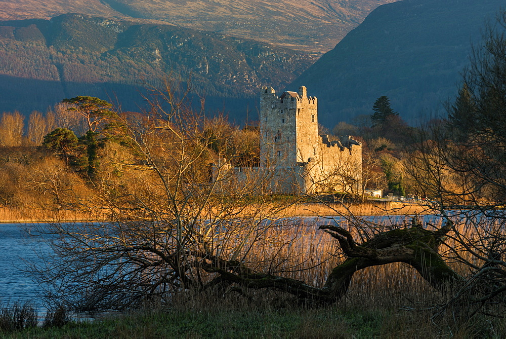 Ross Castle, Killarney National Park, County Kerry, Munster, Republic of Ireland, Europe