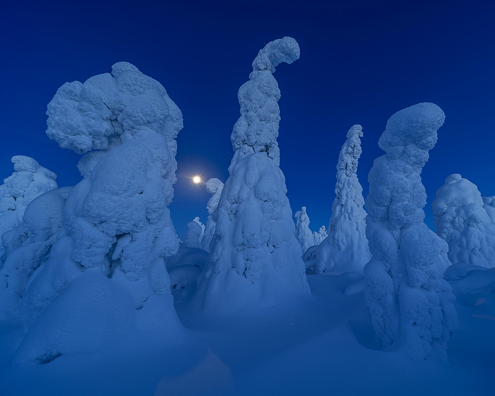 Full moon rising over snow covered winter landscape at twilight, tykky, Kuntivaara Fell, Finland, Europe