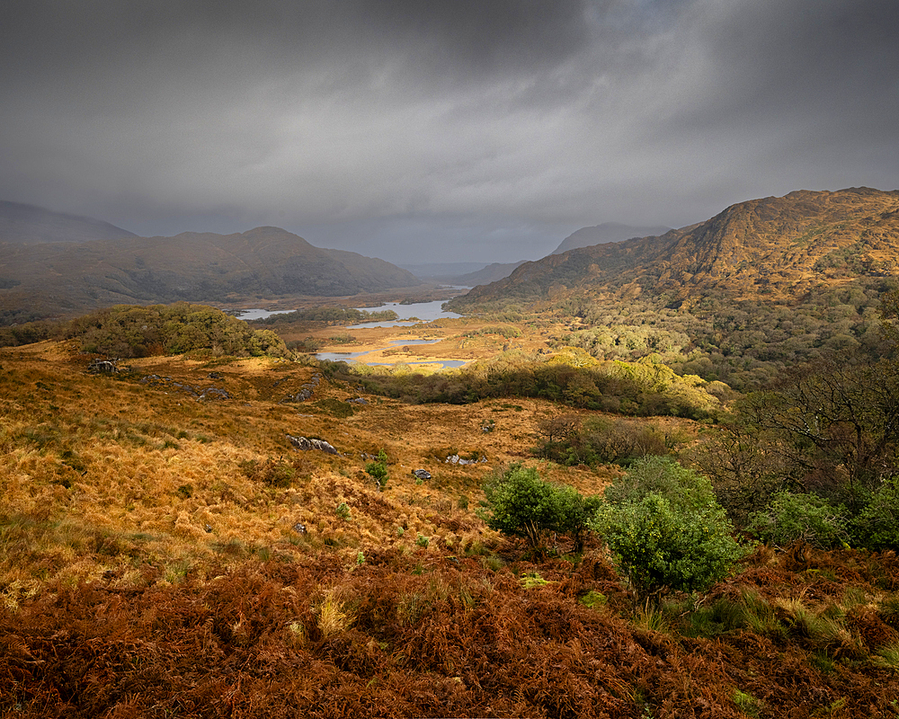 View of valley and lakes, Lady's View, Killarney, County Kerry, Munster, Republic of Ireland