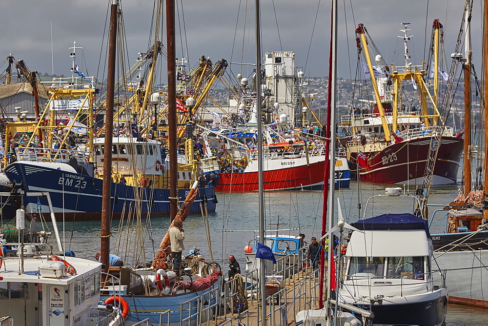 Boats tied up in the busy harbour at Brixham, Torbay, Devon, England, United Kingdom, Europe