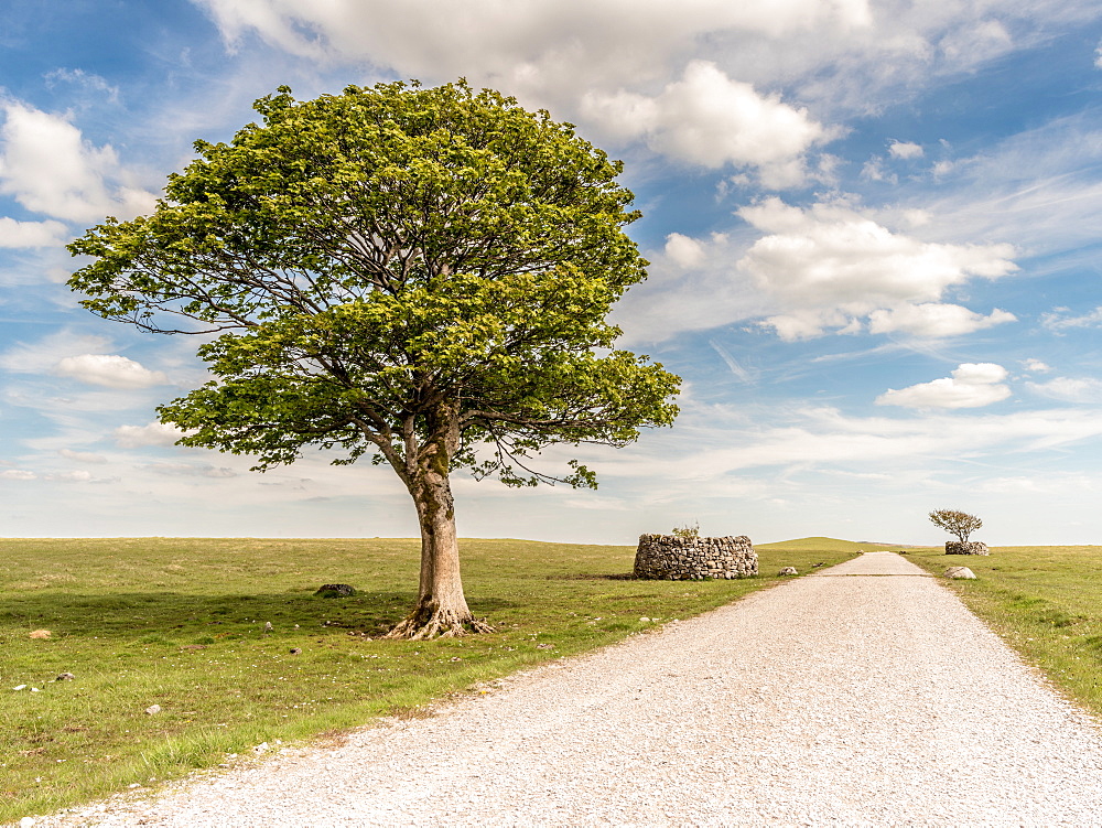 Malham Dale, above Malham Cove, Yorkshire Dales, Yorkshire, England, United Kingdom, Europe