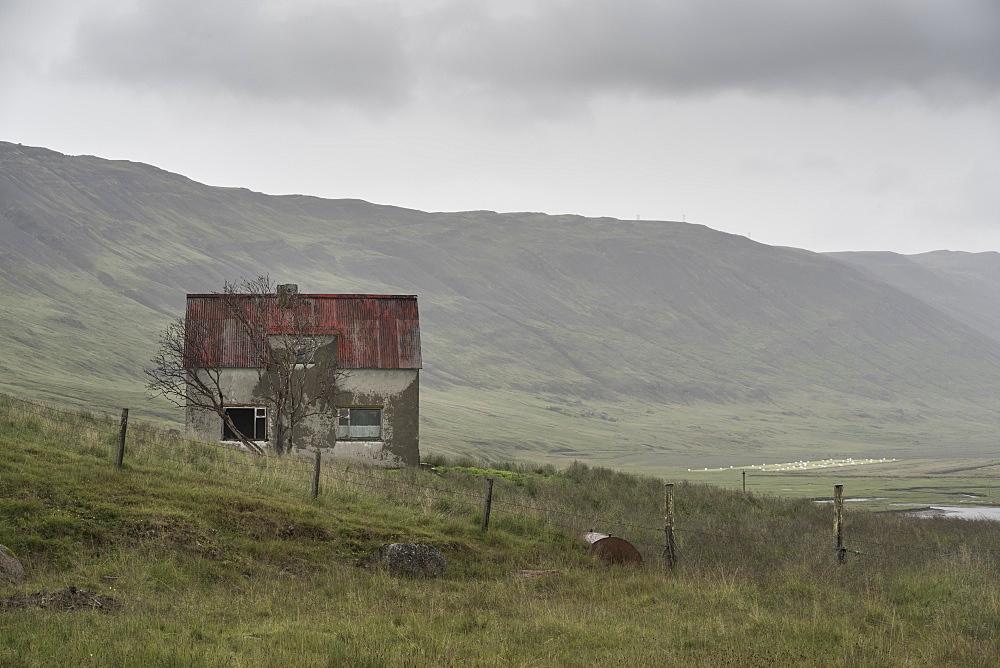 Abandoned farmhouse, Westfjords, Iceland, Polar Regions