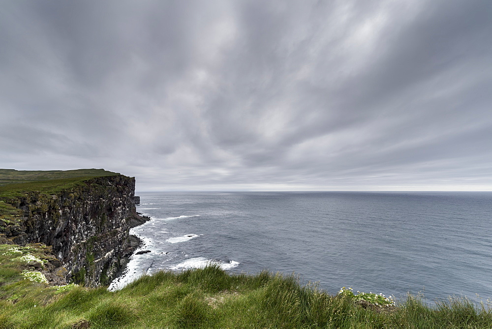 Latrabjard Bird Cliffs, Westfjords, Iceland, Polar Regions