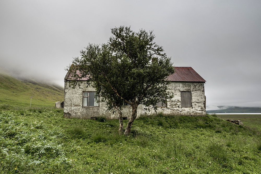 Abandoned farmhouse, Westfjords, Iceland, Polar Regions