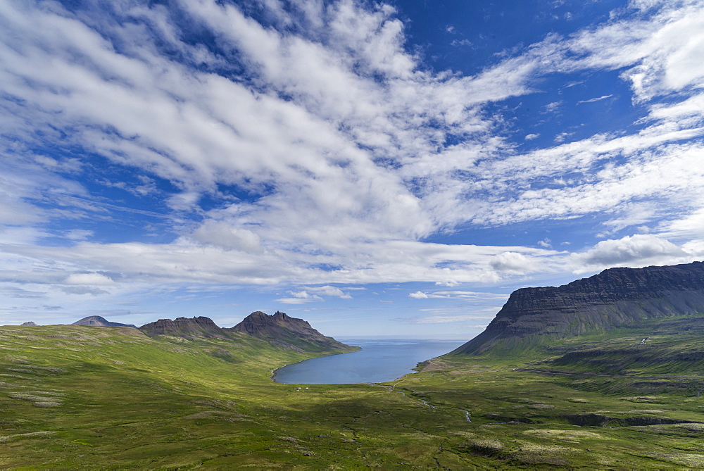 Strandir Coast, Westfjords, Iceland, Polar Regions