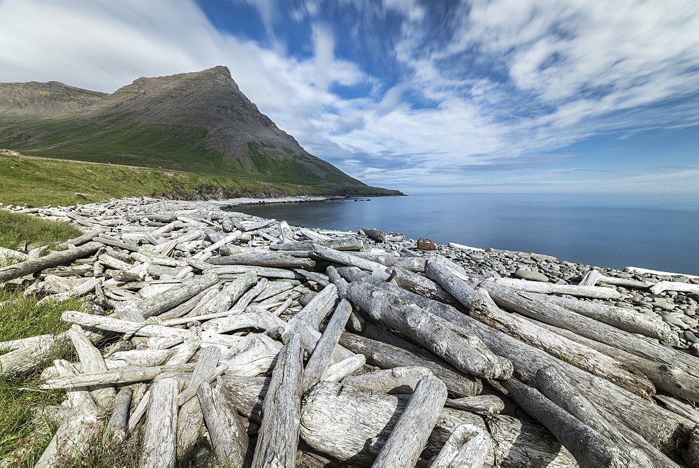 Driftwood from Siberia, Strandir Coast, Westfjords, Iceland, Polar Regions