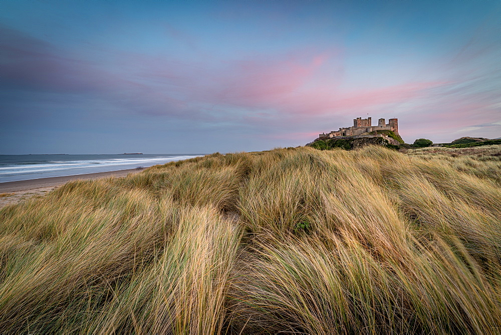 Sunset at Bamburgh Castle, Bamburgh, Northumberland, England, United Kingdom, Europe