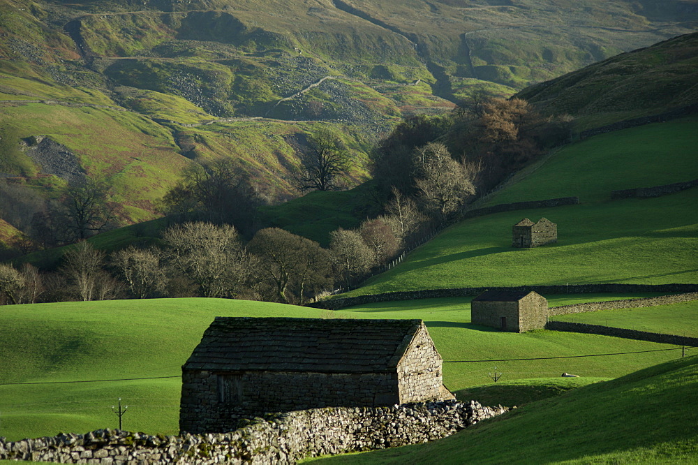 Old hay barns, above Muker, Swaledale, Yorkshire Dales National Park, Yorkshire, England, United Kingdom, Europe