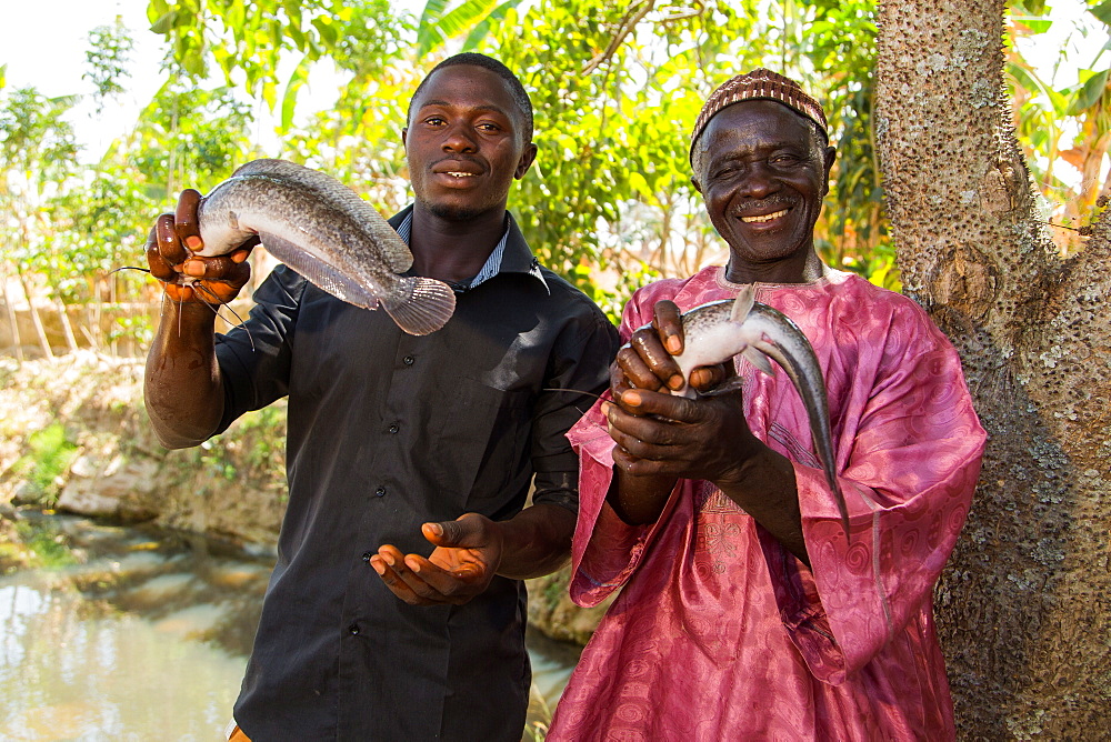 Baba Peter Keita and son Richard Peter, run a fish farm, Nigeria, West Africa, Africa