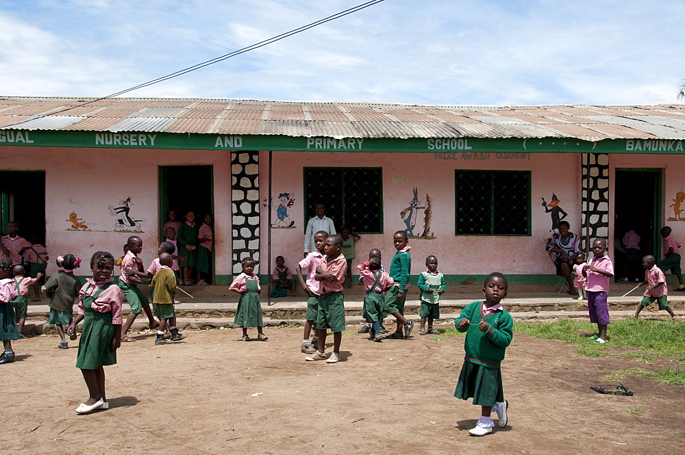 Primary school playtime, Ndop District, Cameroon, Africa