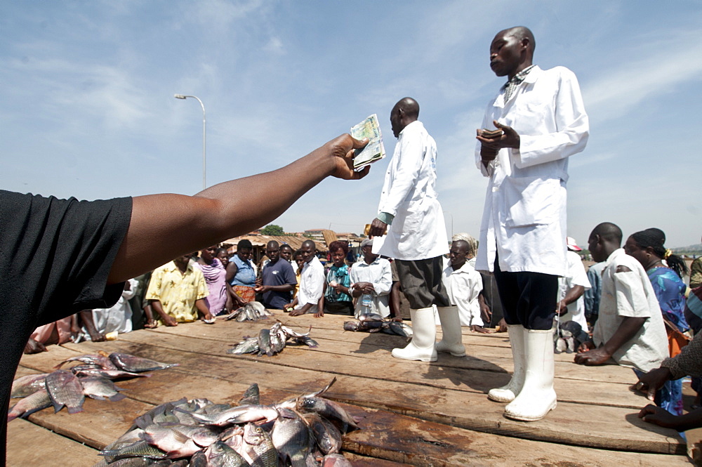 Gabba fish market, Kampala, Uganda, Africa