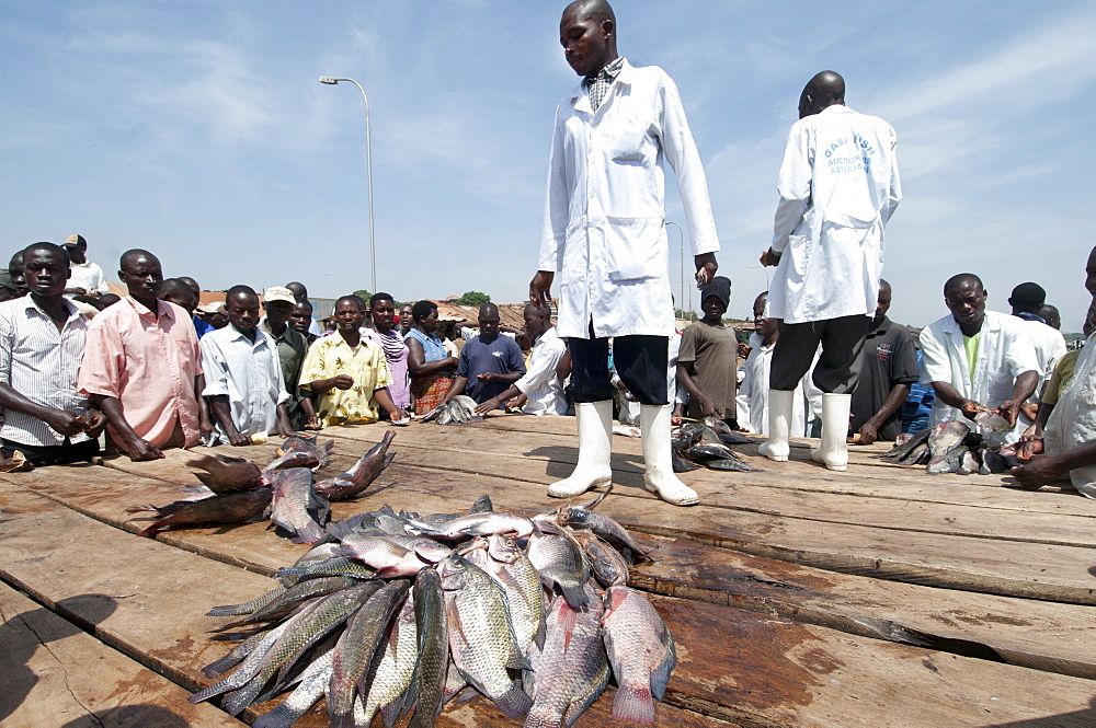 Gabba fisherfolk and customers buying freshly caught fish on the jetty, Uganda, Africa