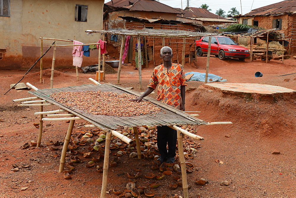 Cocoa Farmer John Essel, aged 60, Abamkrom, Ghana, West Africa, Africa