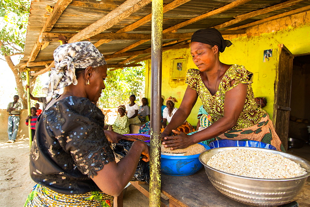 Two ladies trading at Baba Peter Keita's market, Madakiya, Nigeria, West Africa, Africa