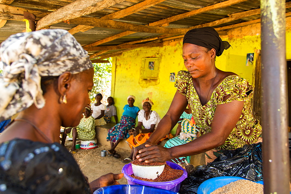 Two ladies trading at Baba Peter Keita's market, Madakiya, Nigeria, West Africa, Africa