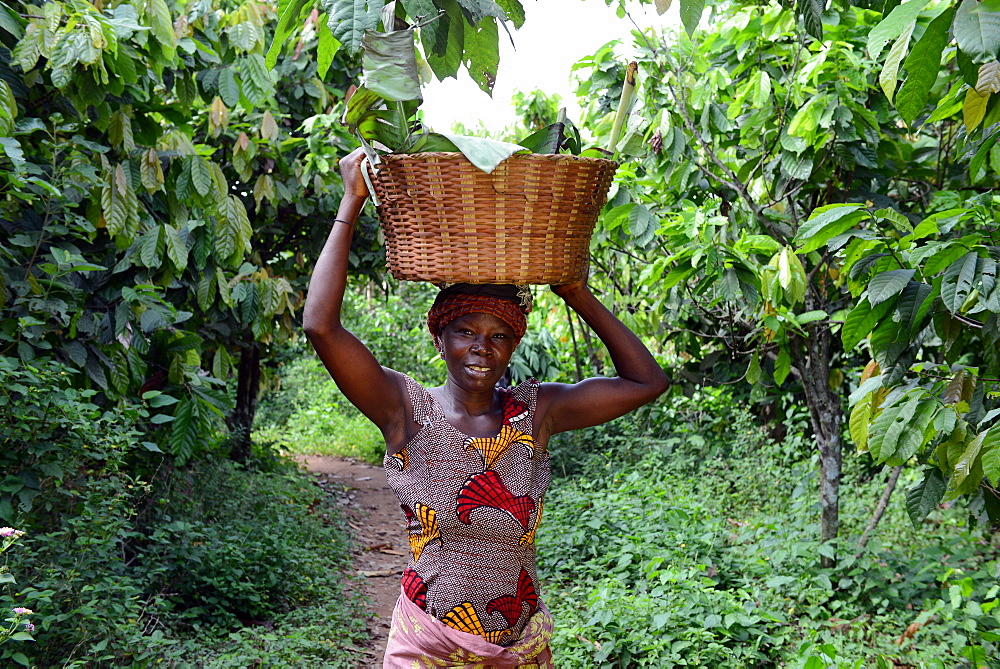 Lavtey Amds, a cocoa farmer, happy due to VSO present in Ghana, West Africa, Africa