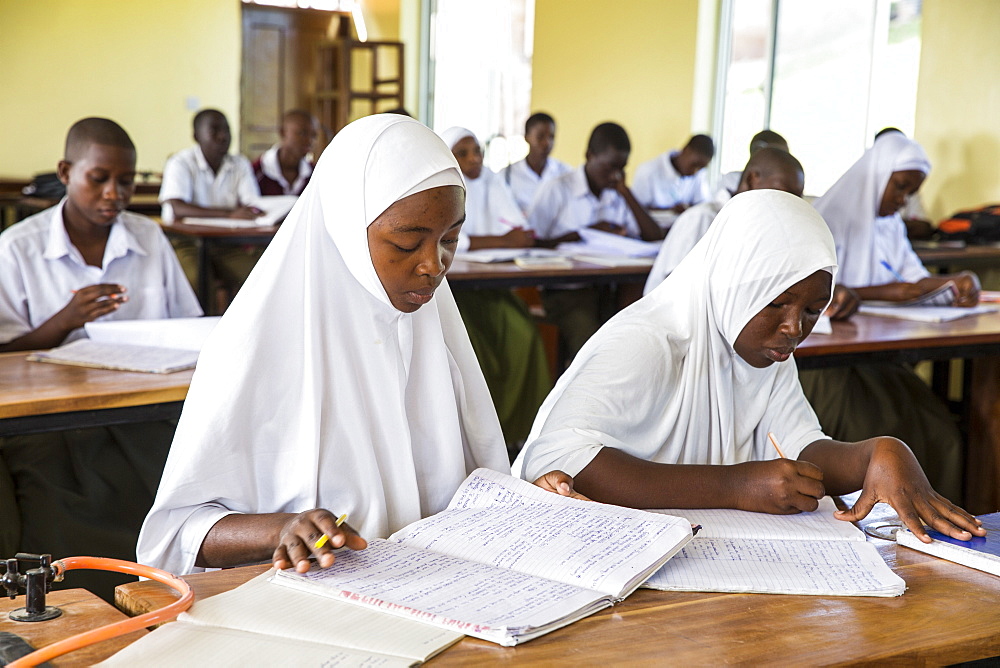 Children studying during a class taken by VSO volunteer Paul Jennings and local teacher Rebecca Ngovano, Angaza school, Lindi, Tanzania, East Africa, Africa