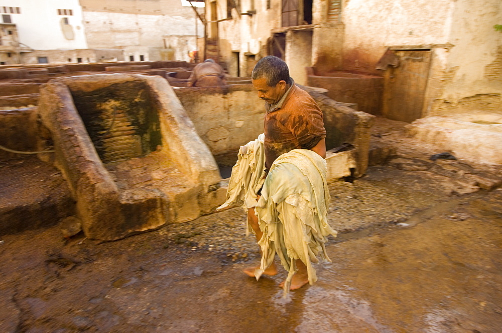 The dyeing vats at the tannery in the old town of Fes, Morocco, North Africa, Africa