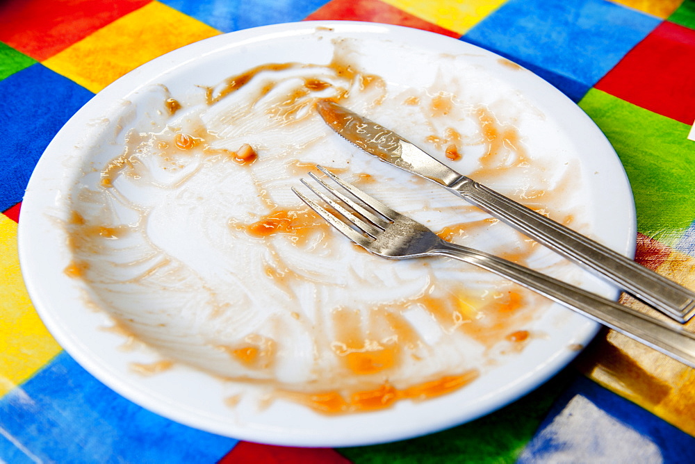 Empty plate after a Full English breakfast, United Kingdom, Europe