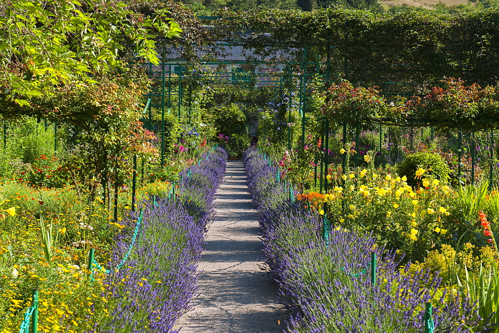 Monet's Garden, Giverny, Eure, France, Europe