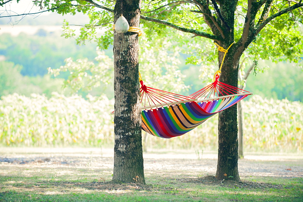 Hammock between two young oaks in a shady French garden, France, Europe