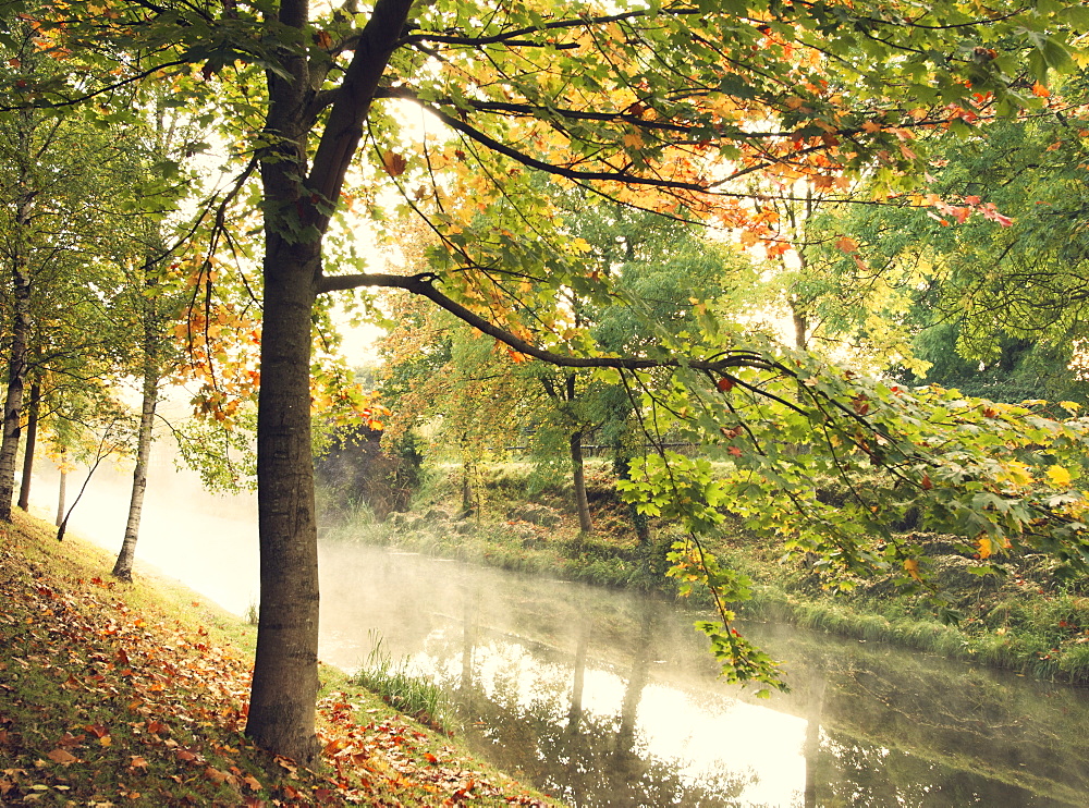 Misty morning on The Royal Canal, Republic of Ireland, Europe