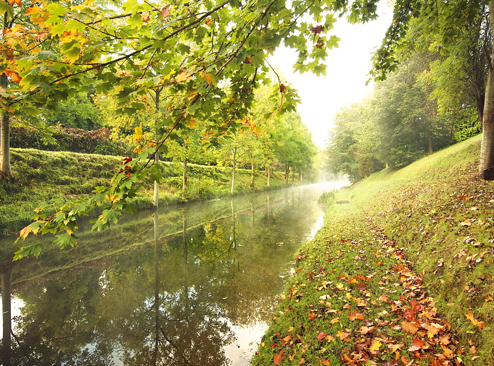 Misty morning on The Royal Canal, Republic of Ireland, Europe