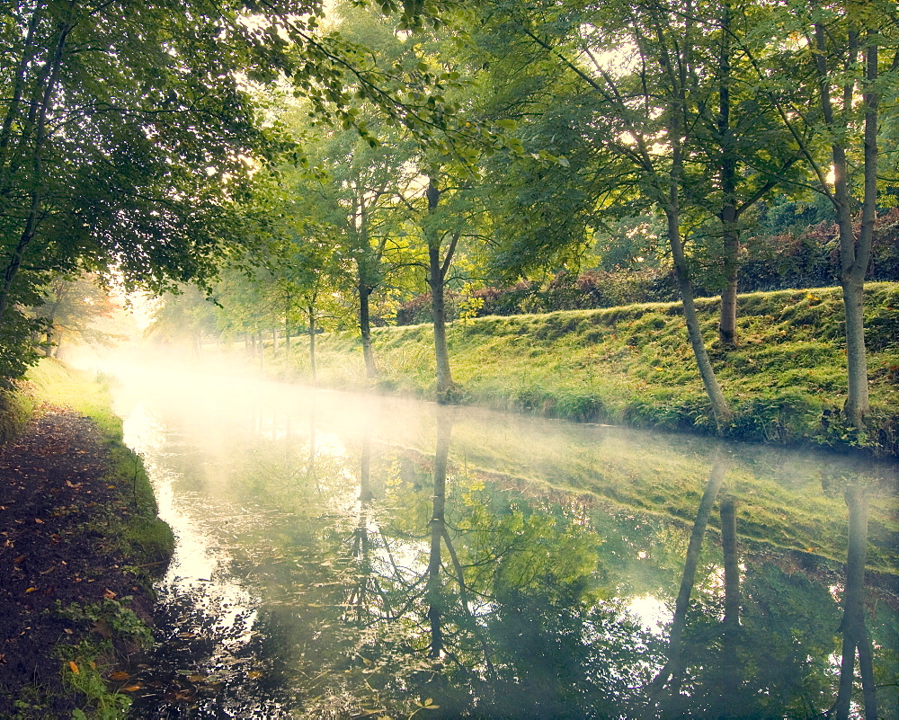 Misty morning on The Royal Canal, Republic of Ireland, Europe