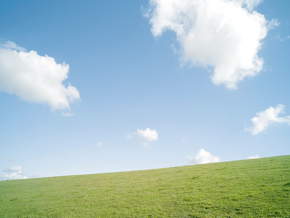 field and clouds on a summers day, United Kingdom, Europe