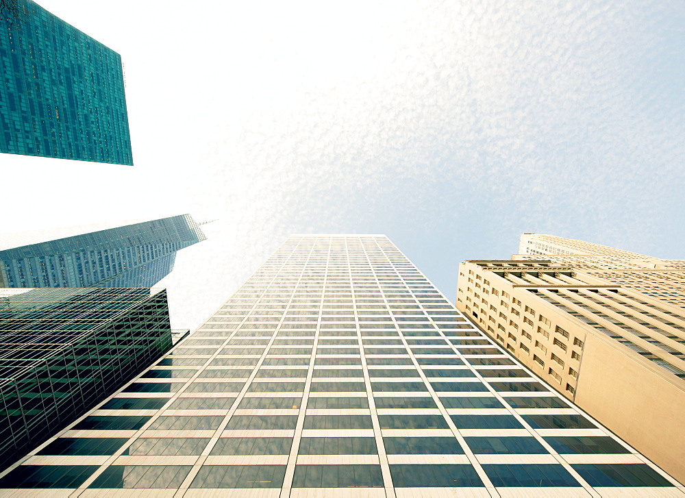 Abstract of modern skyscraper buildings, New York City, United States of America, North America