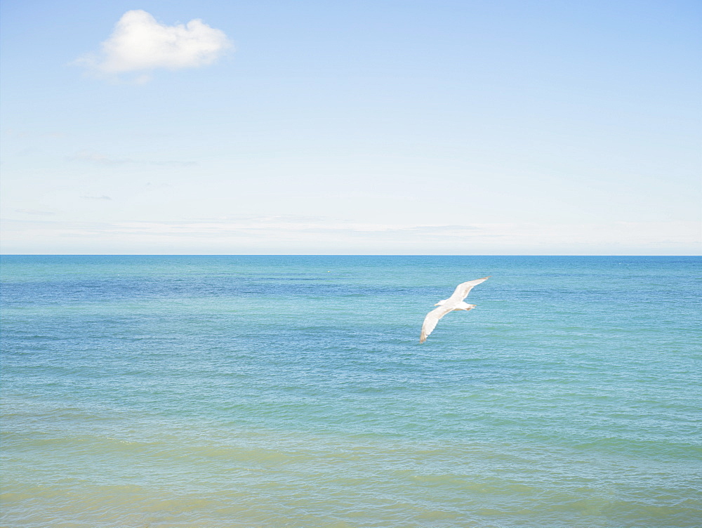 Two people in a wide open sea, New Quay, West Wales, United Kingdom, Europe