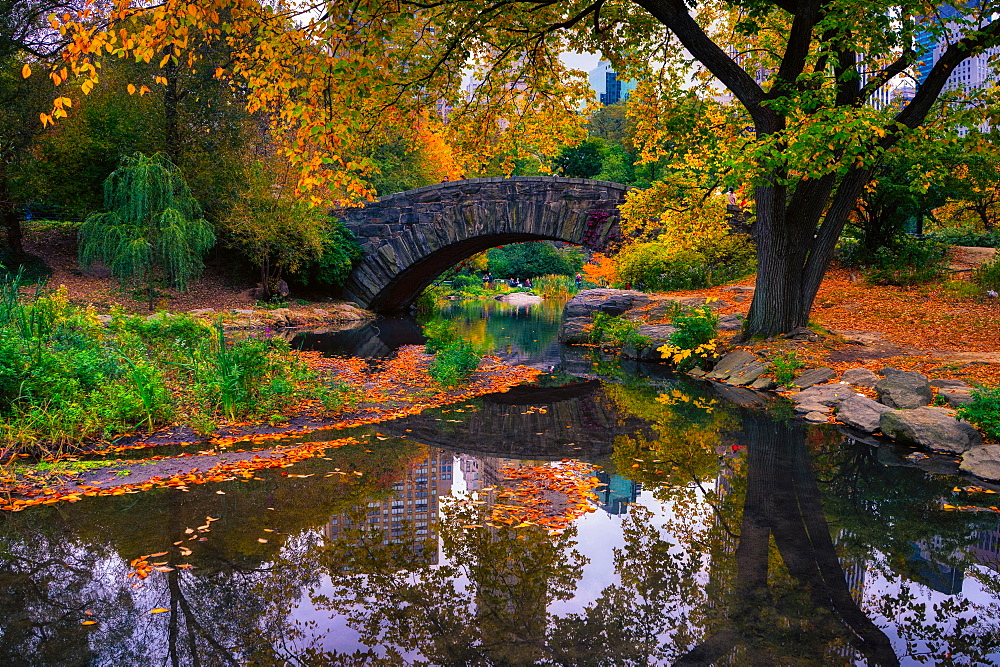 Central Park, New York City, United States of America, North America