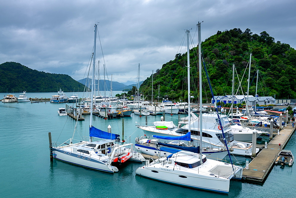 Picton Harbour, Picton, Marlborough Region, South Island, New Zealand, Pacific