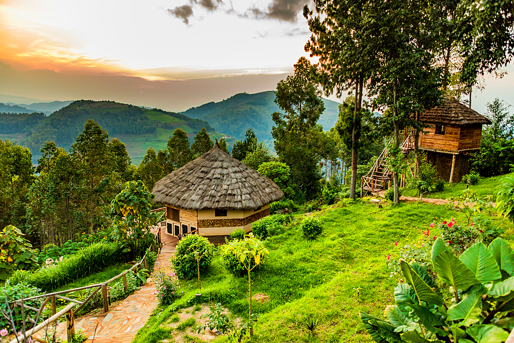 Agandi Eco Lodge (the huts), Bwindi Impenetrable Forest National Park, UNESCO World Heritage Site, Uganda, East Africa, Africa