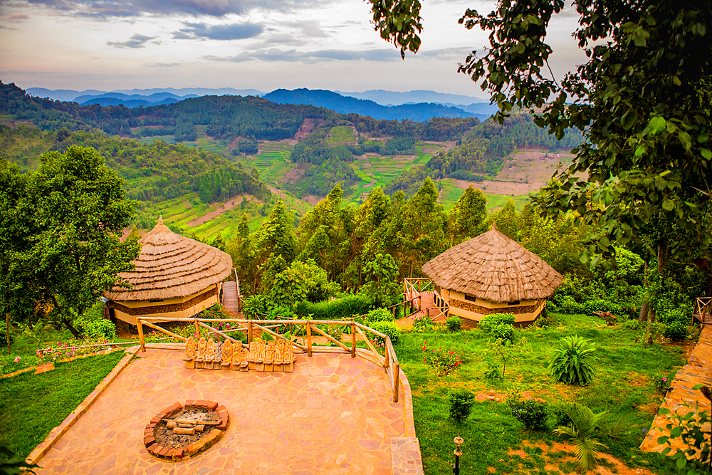 Agandi Eco Lodge (the huts), Bwindi Impenetrable Forest National Park, UNESCO World Heritage Site, Uganda, East Africa, Africa