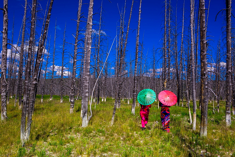 Two girls with parasols in Burnt Forest, Yellowstone National Park, Wyoming, United States of America, North America