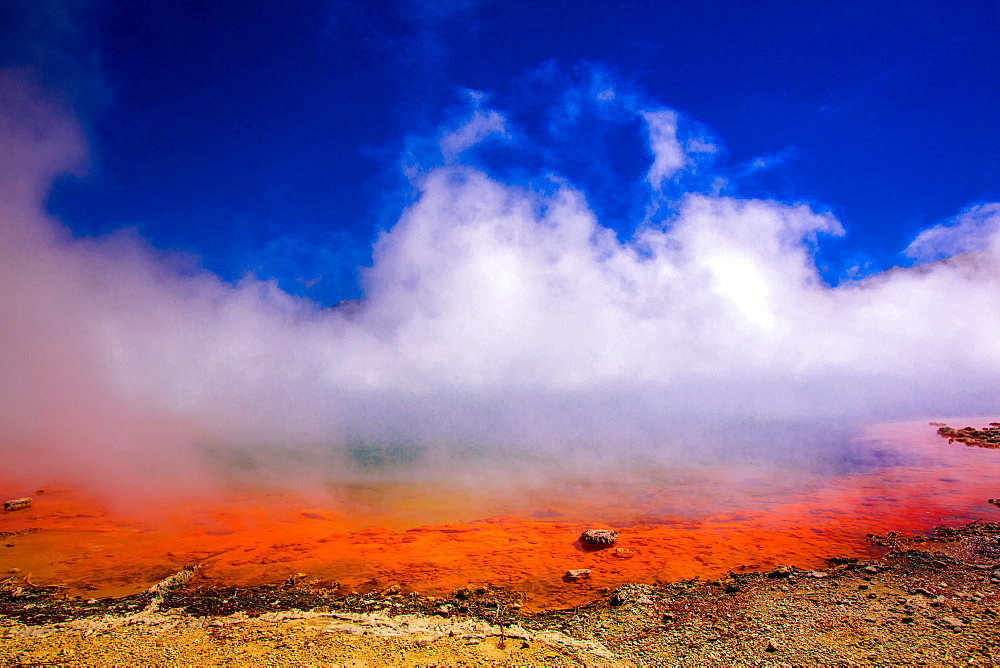 Rainbow Geyser, Rotorua, North Island, New Zealand, Pacific