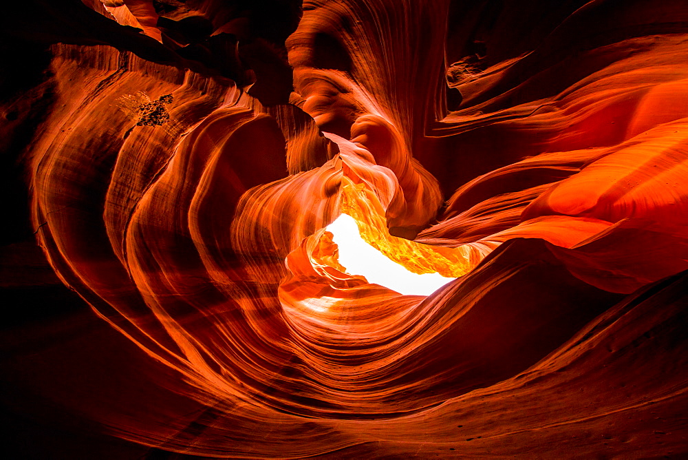 Sandstone sculpted walls, Upper Antelope Canyon, Arizona, United States of America, North America