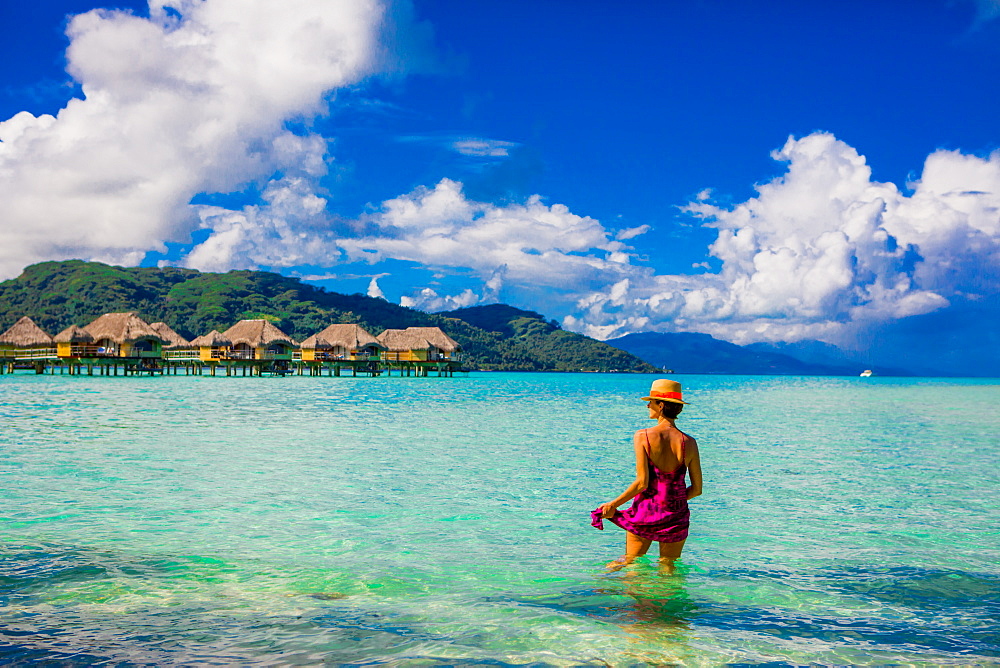 Woman wading in water, Le Taha'a Resort, Tahiti, French Polynesia, South Pacific, Pacific